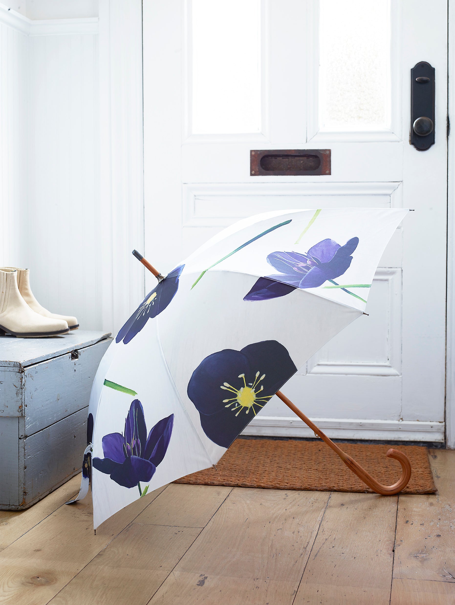 Umbrella:  Black Hellebore on Snow